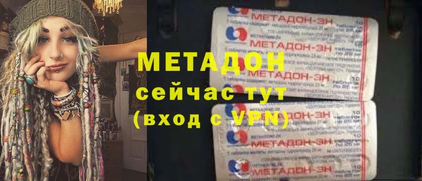 сатива Алзамай